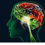 ĐÔNG Y HỖ TRỢ ĐIỀU TRỊ BỆNH UNG THƯ NHƯ THẾ NÀO?