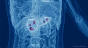 alt text: Hình ảnh mô tả các cơ quan nội tạng của người cao tuổi