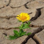 Bệnh nhân ung thư và câu hỏi: “TÔI SẼ SỐNG ĐƯỢC BAO LÂU?”