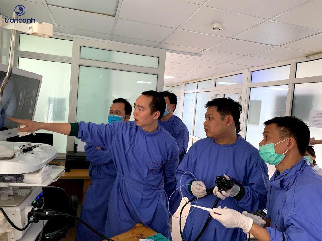 Cấu trúc ống tiêu hóa