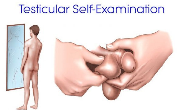 Hình ảnh minh họa ung thư tinh hoàn