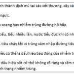 Hạ bạch cầu trong thời gian điều trị hóa chất – Những điều bạn cần biết