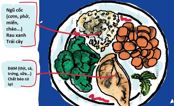 Khẩu phần ăn cân đối trong điều trị ung thư